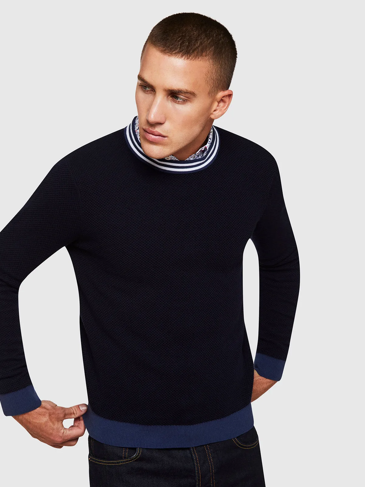 Fred Cotton Crew Neck Knit