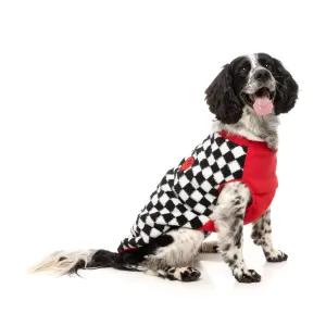 FuzzYard Dog Apparel Jacket Ollie Red Size 4