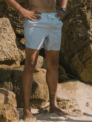 Striped Swimming Shorts Tropicove